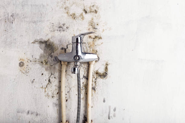Best Mold Testing  in Strasburg, VA