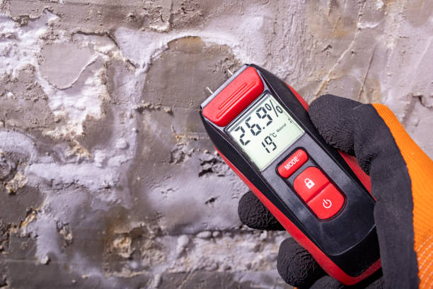 Mold Removal and Inspection in Strasburg, VA