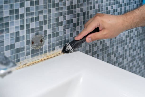 Best Fast Mold Removal  in Strasburg, VA