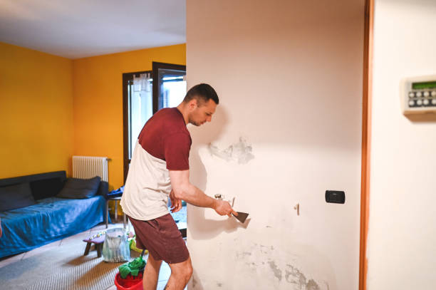 Best Water Damage Restoration  in Strasburg, VA